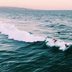 Meet your Posher, Faith